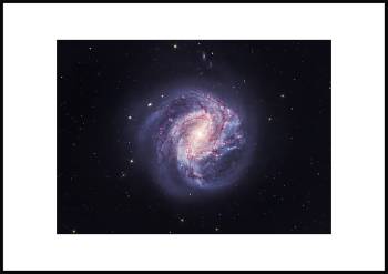Southern Pinwheel Galaxy (M83) - Galaxy