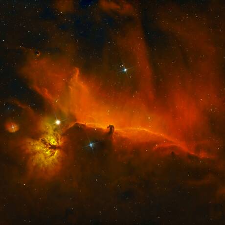 Horsehead & Flame Nebula — Where Fire Meets Shadow