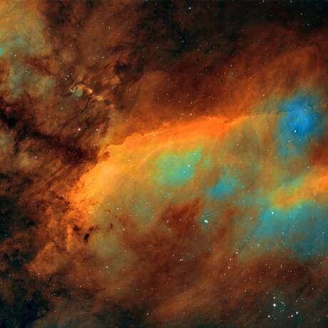 Prawn Nebula 2026