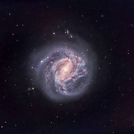 Southern Pinwheel Galaxy — A Spiral of Light and Dust